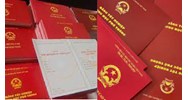 Môi giới làm bằng giả có bị truy cứu hình sự hay không?
