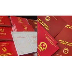 Môi giới làm bằng giả có bị truy cứu hình sự hay không?