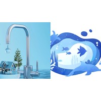 Ngày môi trường thế giới, ngày Đại dương thế giới là ngày nào?