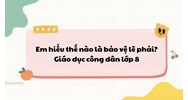 Em hiểu thế nào là bảo vệ lẽ phải? - Giáo dục công dân lớp 8