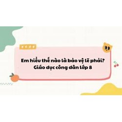 Em hiểu thế nào là bảo vệ lẽ phải? - Giáo dục công dân lớp 8