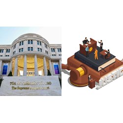 Bộ máy giúp việc của Tòa án nhân dân tối cao gồm những cơ quan nào?
