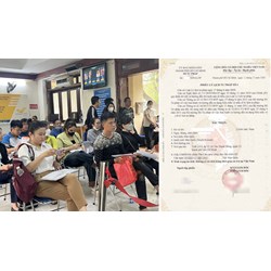 Viên chức mới tuyển dụng có yêu cầu nộp Phiếu lý lịch tư pháp không?