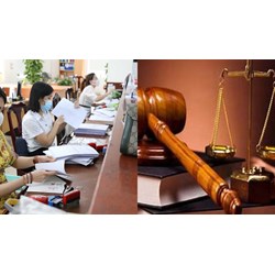 Hành vi bị xem xét xử lý kỷ luật hành chính đối với cán bộ, công chức, viên chức
