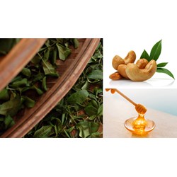 Đăng ký nhãn hiệu cho sản phẩm OCOP tại Gia Lai như thế nào?