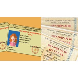 Bằng lái xe có thời hạn và không thời hạn có những loại hạng nào?