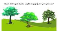 Chuyển đất trồng cây lâu năm sang đất nông nghiệp không trồng lâu năm?