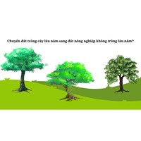 Chuyển đất trồng cây lâu năm sang đất nông nghiệp không trồng lâu năm?