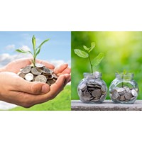 Doanh nghiệp có bắt buộc vừa đóng phí vừa nộp thuế bảo vệ môi trường?