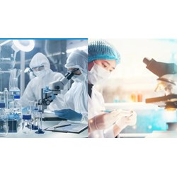 Phòng thí nghiệm gây ô nhiễm môi trường sẽ bị xử lý như thế nào?
