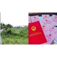Thủ tục cấp sổ đỏ lần đầu cấp tỉnh tại văn phòng đăng ký đất đai