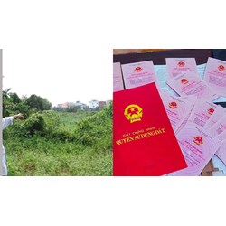 Thủ tục cấp sổ đỏ lần đầu cấp tỉnh tại văn phòng đăng ký đất đai