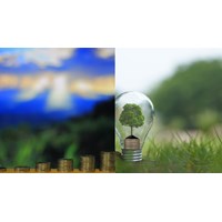 Ai có thẩm quyền thành lập quỹ bảo vệ môi trường?
