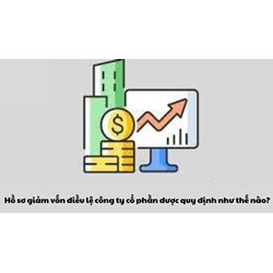 Hồ sơ giảm vốn điều lệ công ty cổ phần được quy định như thế nào?