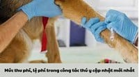 Mức thu phí, lệ phí trong công tác thú y cập nhật mới nhất 2024