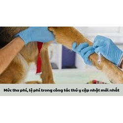 Mức thu phí, lệ phí trong công tác thú y cập nhật mới nhất 2024