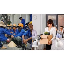 Người lao động có thể bị cắt giảm nhân sự trong trường hợp nào?