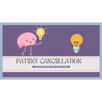 Procedure and Fees Regarding Patent Cancellation in Vietnam