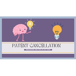Procedure and Fees Regarding Patent Cancellation in Vietnam