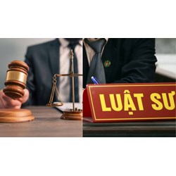 Trưởng văn phòng luật sư có bắt buộc là luật sư hay không?