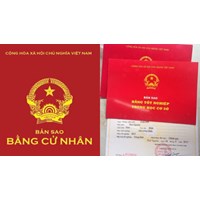 Bản sao bằng tốt nghiệp cấp từ sổ gốc có giá trị pháp lý như bản chính?