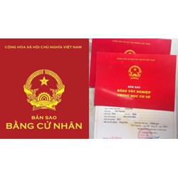 Bản sao bằng tốt nghiệp cấp từ sổ gốc có giá trị pháp lý như bản chính?