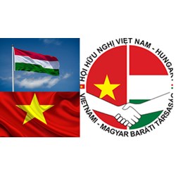 Hội Hữu nghị Việt Nam Hungary có con dấu và tài khoản riêng không