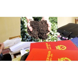Khi chưa có sổ đỏ thì làm sao biết loại đất gì?