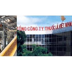 Nhiệm kỳ của Hội đồng thành viên của VINATABA là bao nhiêu năm?