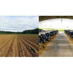 Loại đất nào có thể chuyển mục đích sử dụng đất sang đất kinh tế trang trại?
