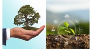 Hồ sơ đề nghị thẩm định báo cáo đánh giá tác động môi trường gồm?