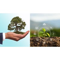 Hồ sơ đề nghị thẩm định báo cáo đánh giá tác động môi trường gồm?