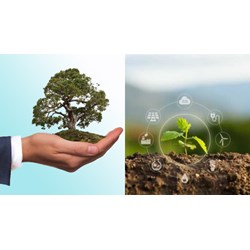 Hồ sơ đề nghị thẩm định báo cáo đánh giá tác động môi trường gồm?