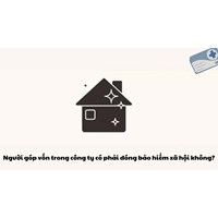 Người góp vốn trong công ty có phải đóng bảo hiểm xã hội không?