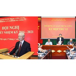 Mỗi quý Hội đồng Lý luận Trung ương sẽ tổ chức họp mấy lần?