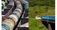 Kinh doanh vận tải đường sắt sẽ được cung cấp những thông tin gì?