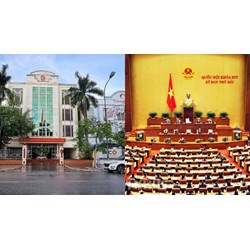 Trình độ lý luận chính trị của Phó Cục trưởng Cục Dự trữ Nhà nước