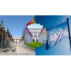 Talk about an international organisation that you know