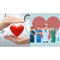 Ngày Thầy thuốc Việt Nam có được xem là ngày lễ lớn hay không?