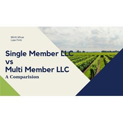 Single-member LLC vs. Multiple-member LLC in Vietnam: A Summary