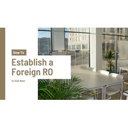 Guide on Foreign Representative Offices in Vietnam: What to Know