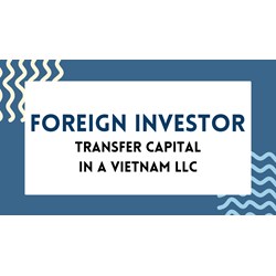How Foreign Investor can Transfer Capital in LLC in Viet Nam