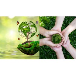 Các trường hợp được miễn phí bảo vệ môi trường đối với nước thải