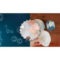 Write a passage to give advice on how to avoid viruses