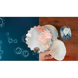 Write a passage to give advice on how to avoid viruses