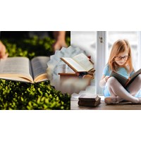 Bài luận tiếng Anh hay về quyển sách yêu thích nhất siêu hay