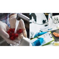 Xin cấp Giấy chứng nhận đủ điều kiện vệ sinh an toàn thực phẩm có cần đối với công ty sản xuất bao bì thực phẩm không?
