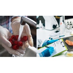 Xin cấp Giấy chứng nhận đủ điều kiện vệ sinh an toàn thực phẩm có cần đối với công ty sản xuất bao bì thực phẩm không?