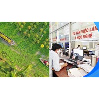 Số điện thoại và địa chỉ Trung tâm dịch vụ việc làm tỉnh Đồng Tháp