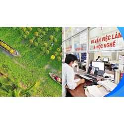 Số điện thoại và địa chỉ Trung tâm dịch vụ việc làm tỉnh Đồng Tháp